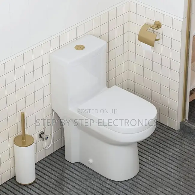 Direct Factory Prices Stylish Sawa One Piece Dual Flush Toilet Seats