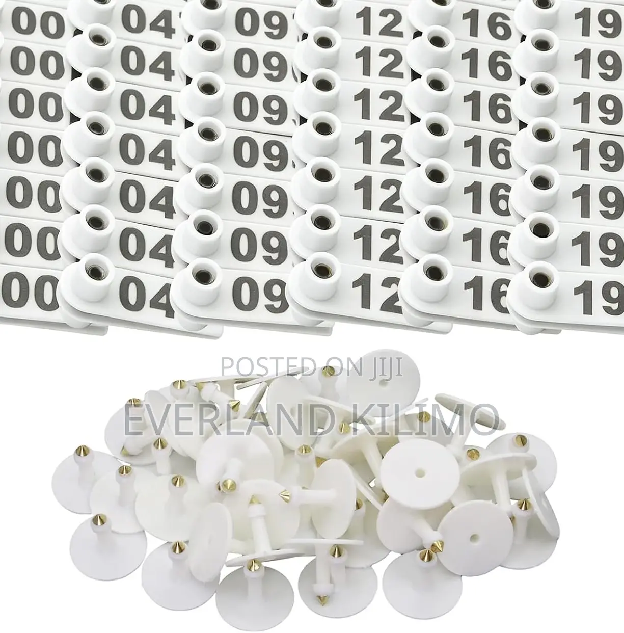 Easy-Read Numbered Farm Pigs Slim Tags - White