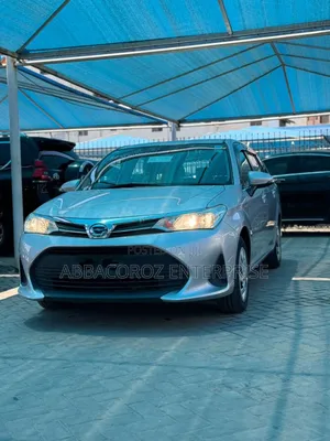 Toyota Corolla Fielder 2019 Silver