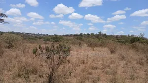 24 Acres Block for Sale Ln O/Rongai Maasi  Lodge
