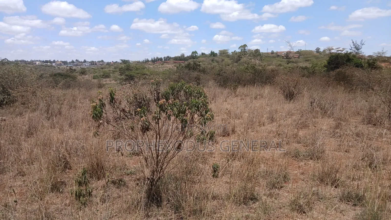 12 Acres for Sale Ln Ongata Rongai Maasi Lodge.
