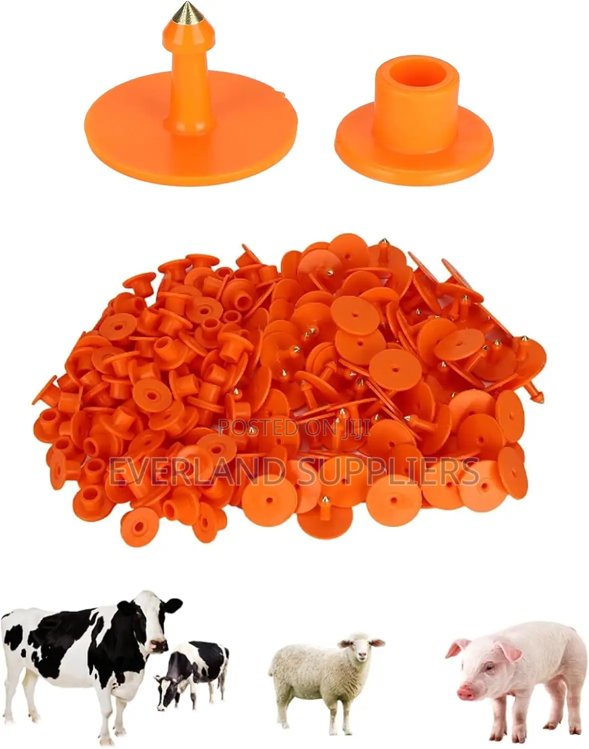 Customizable Ranch Round Ear Tags - Plain