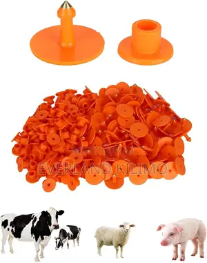 Customizable Ranch Round Ear Tags - Plain