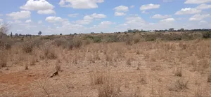 5 Acres Block for Sale Ln O/Rongai Maasi Lodge.