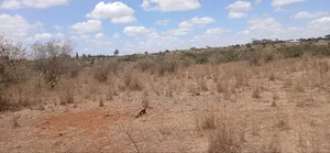 5 Acres Block for Sale Ln O/Rongai Maasi Lodge.