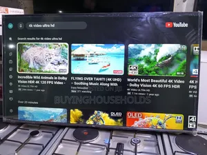 TCL 55" Google TV