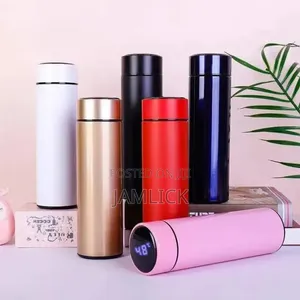 500ml Double-Wall Led Vacuum Flask — Hk