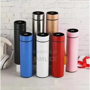 500ml Double-Wall Led Vacuum Flask — Hk