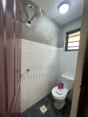 1bdrm Bedsitter in Dennis Apartment, Kiambu CBD for rent