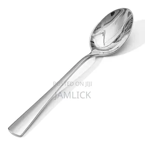 6pcs Stainless Steel Dinner Spoons —Hk