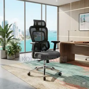 Office Chairs; Executive Dual Spine Support Orthopedic Chairs