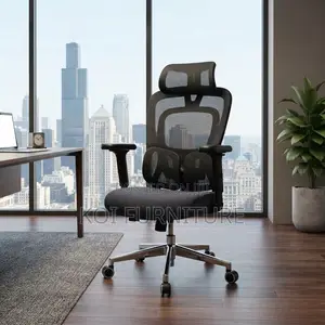 Office Chairs; Executive Dual Spine Support Orthopedic Chairs