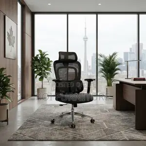 Office Chairs; Executive Dual Spine Support Orthopedic Chairs