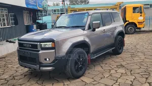 Toyota Land Cruiser 2024 Gray