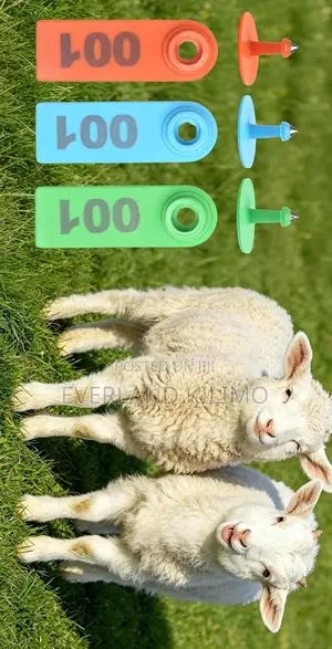 Heat-Resistant Farm Ear Slim Tags for Goats