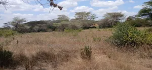 1/2 Acre Land for Sale Ln O/Rongai Maasi Lodge.