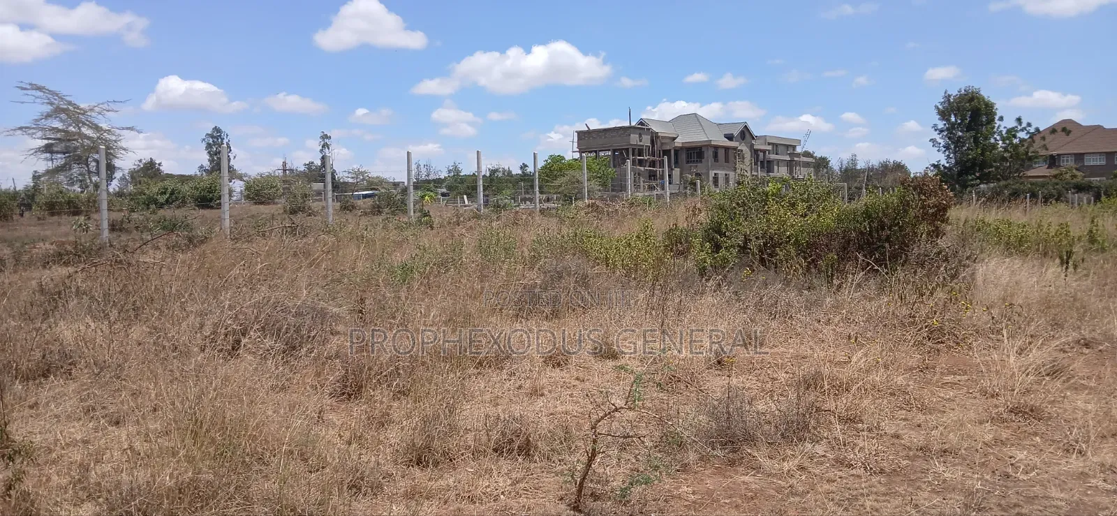1/2 Acre Land for Sale Ln O/Rongai Maasi Lodge.