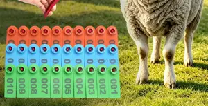 Customizable Numbered Slim Ear Tags for Goats