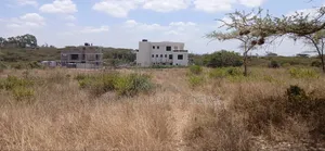 100ft by 100ft Plots for Sale Ln O/Rongai Maasi Lodge.