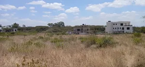 100ft by 100ft Plots for Sale Ln O/Rongai Maasi Lodge.