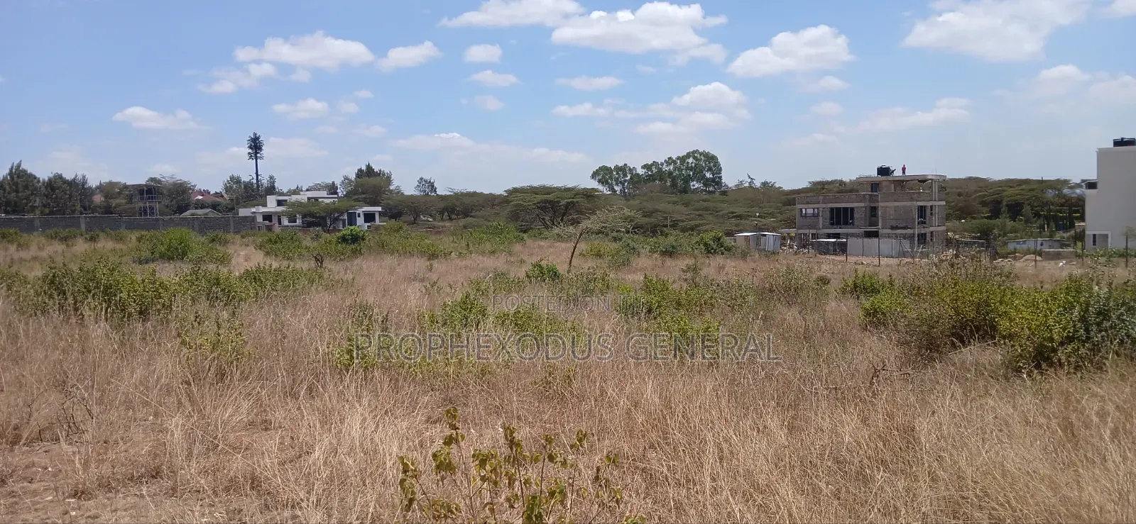100ft by 100ft Plots for Sale Ln O/Rongai Maasi Lodge.