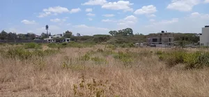 100ft by 100ft Plots for Sale Ln O/Rongai Maasi Lodge.
