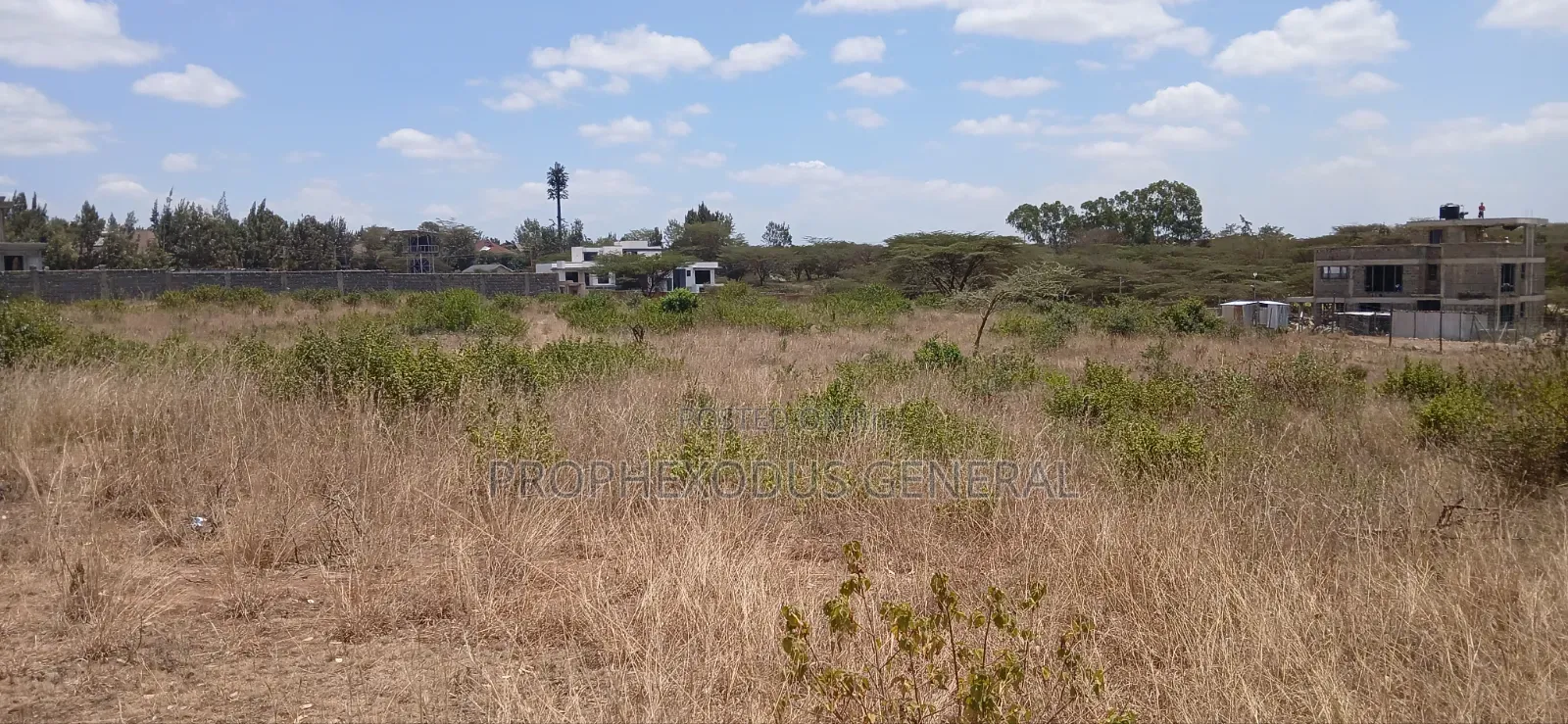 100ft by 100ft Plots for Sale Ln O/Rongai Maasi Lodge.