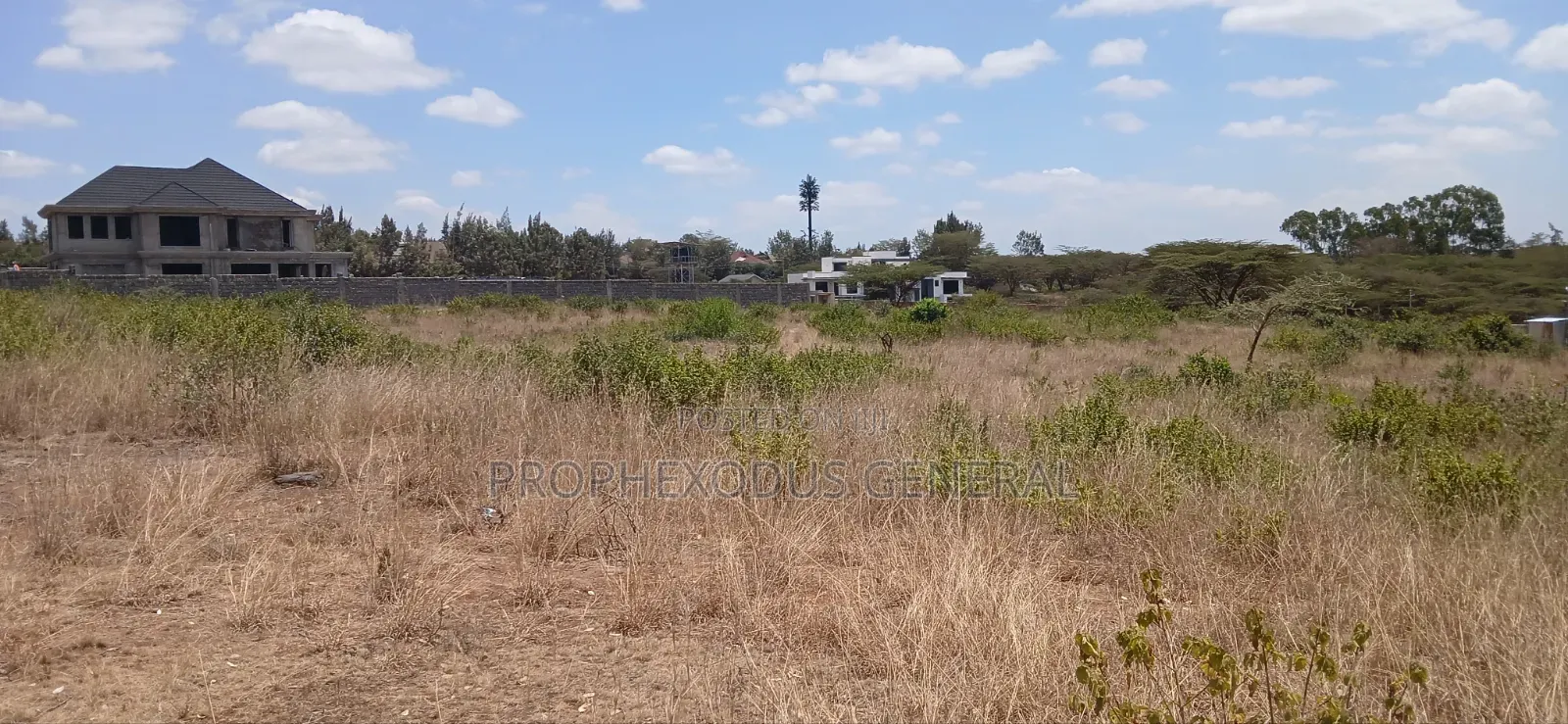 100ft by 100ft Plots for Sale Ln O/Rongai Maasi Lodge.