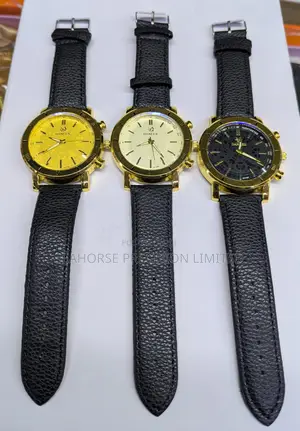 Danlex Men's Watch