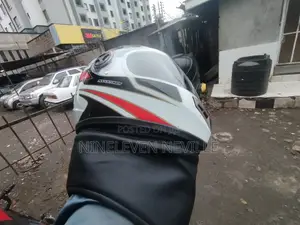 Big Dog Wolf 2025 White