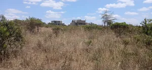 1/4 Prime Plots for Sale Ln O/Rongai Maasi Lodge..