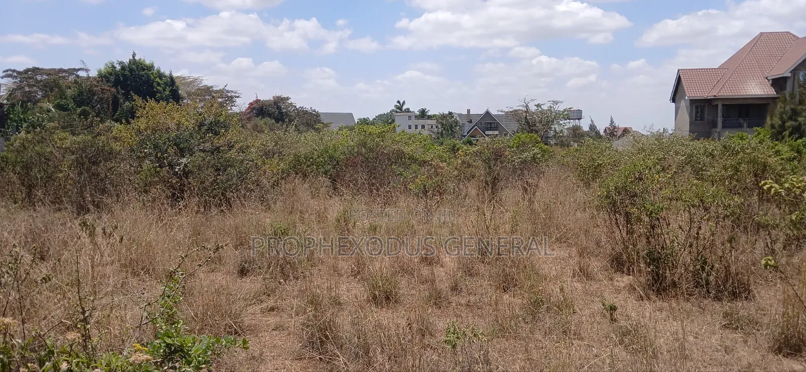 1/4 Prime Plots for Sale Ln O/Rongai Maasi Lodge..