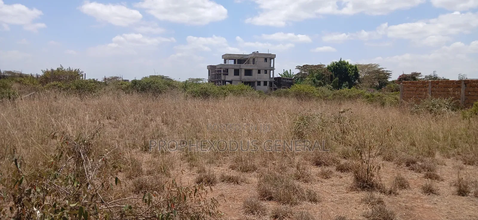 1/4 Prime Plots for Sale Ln O/Rongai Maasi Lodge..