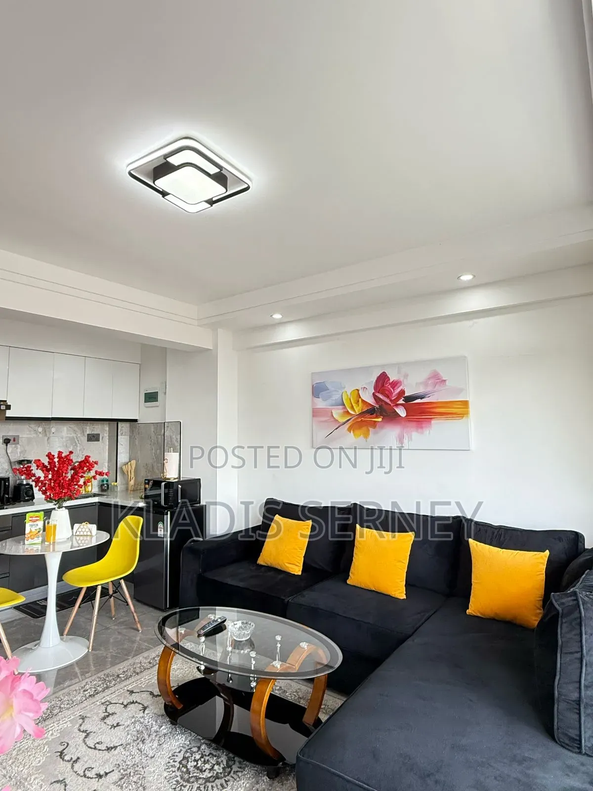 Airbnb 1 Bedrooms