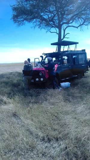 Road Trips