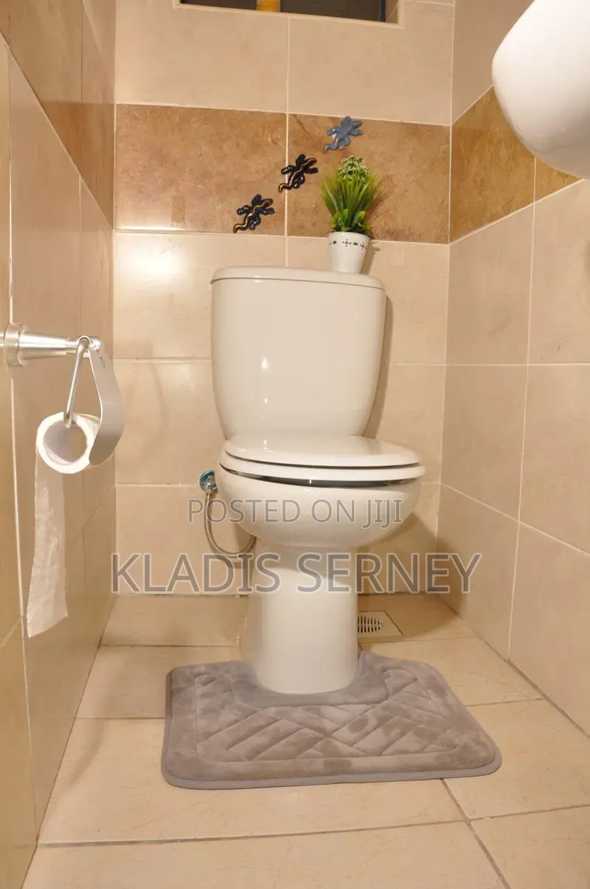 1 Bedroom Airbnb in Westlands.