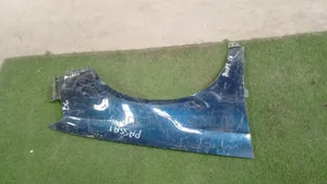 Passat B6 Fender