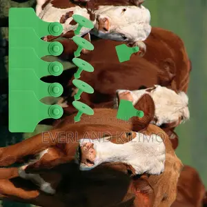 Long-Use Farm Identification Medium Ear Tags for Cows