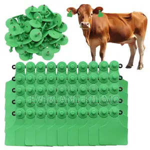 Color-Coded Herd Management Large Ear Tags Plain for Cattles