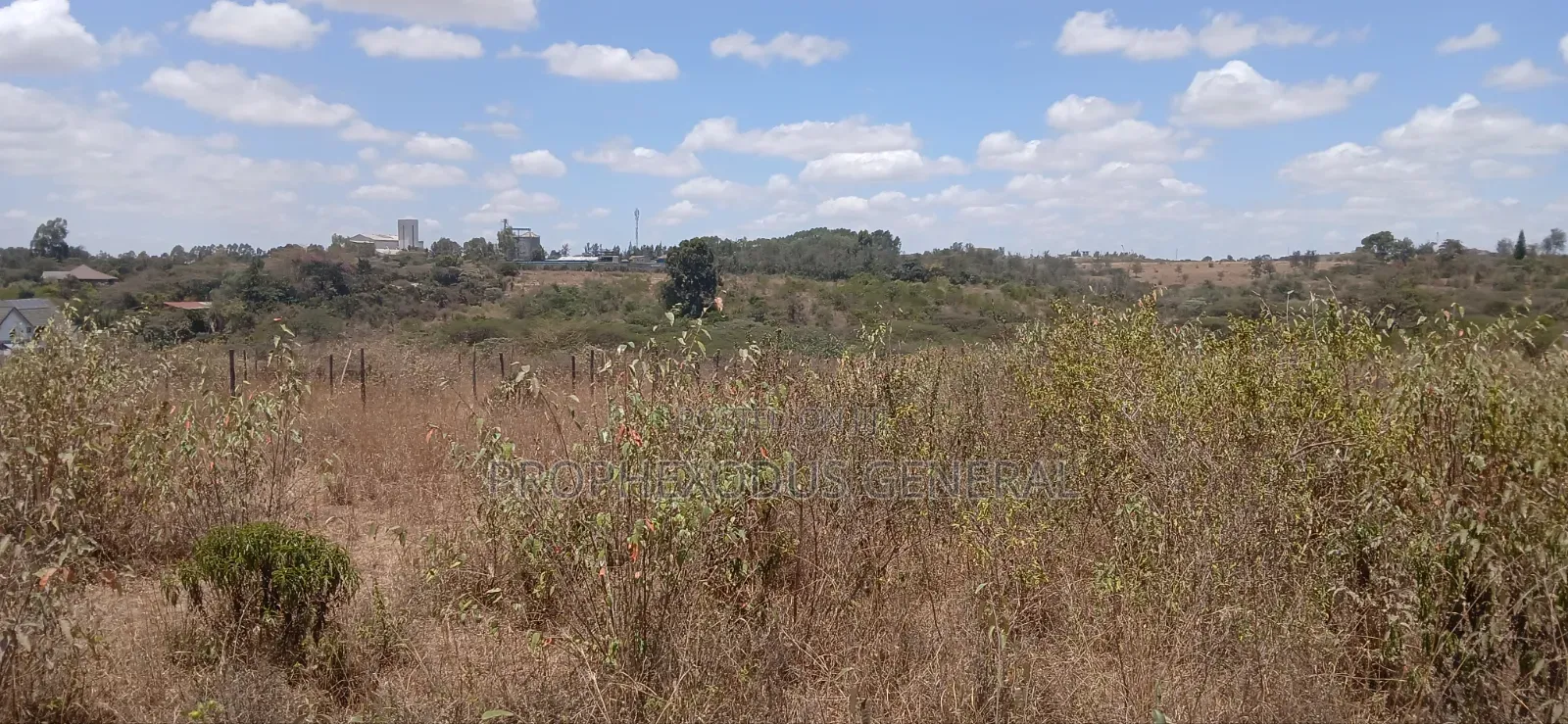 100ft by 100ft Prime Plots for Sale Ln O/Rongai Maasi Lodge.