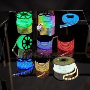 Remote Control Colorful Bright LED Snake Lights Strip Lights