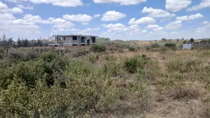 100ft by 100ft Prime Plots for Sale Ln O/Rongai Maasi Lodge.