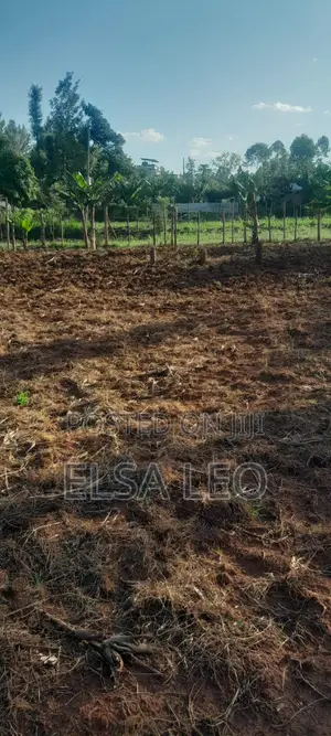 Land for Sale