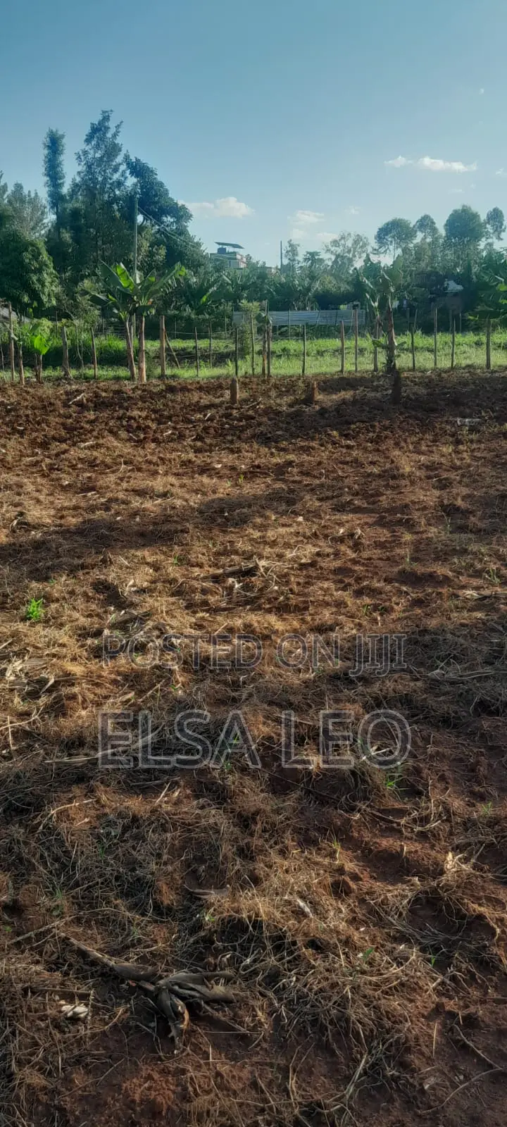 Land for Sale
