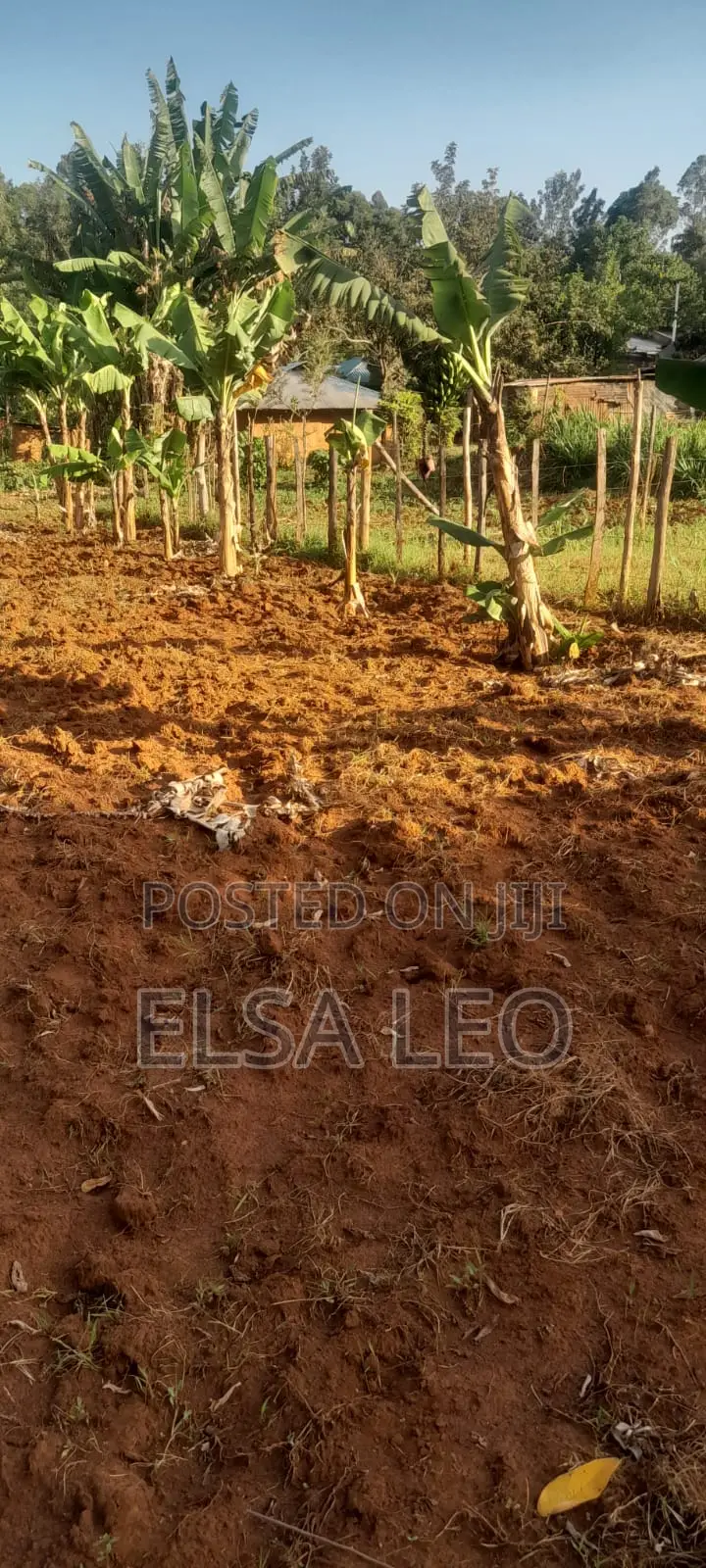 Land for Sale