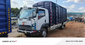 Isuzu FRR 2022 White