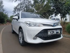 Toyota Axio 2017 White