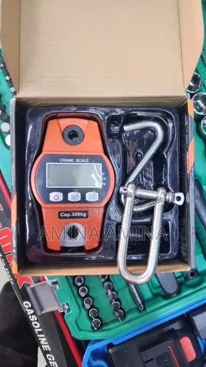 Accurate Digital 250kg Crane Scale