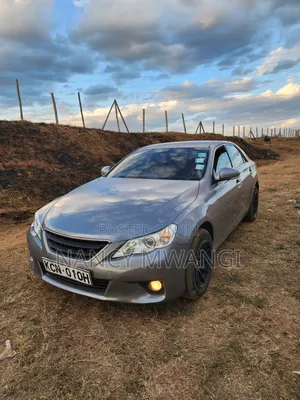 Toyota Mark X 2011 Gray
