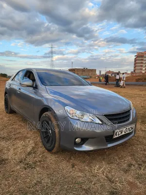 Toyota Mark X 2011 Gray